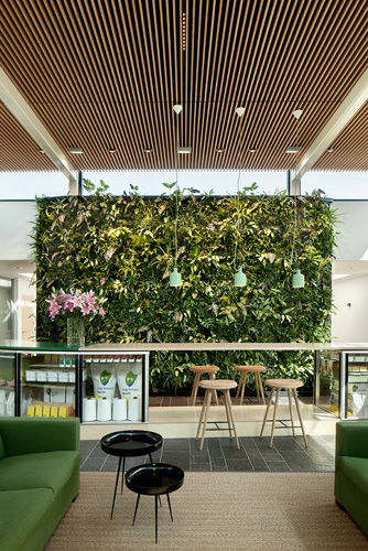 16_KatjaEffting_MFaPV